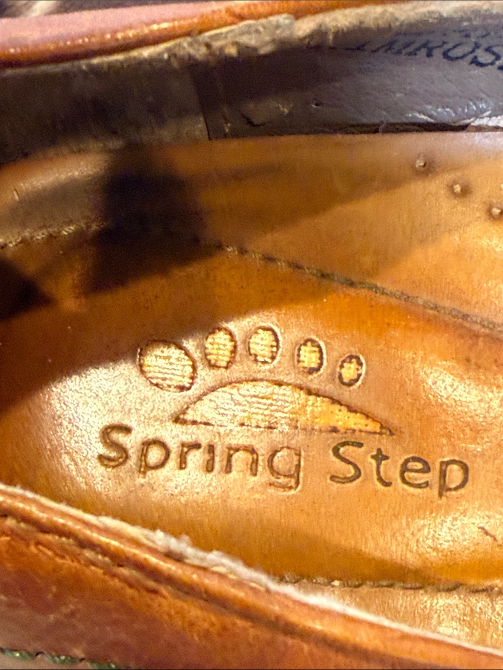 Spring Step Primrose Leather Pumps with Pink Floral Embroidery - Picture 7 of 8
